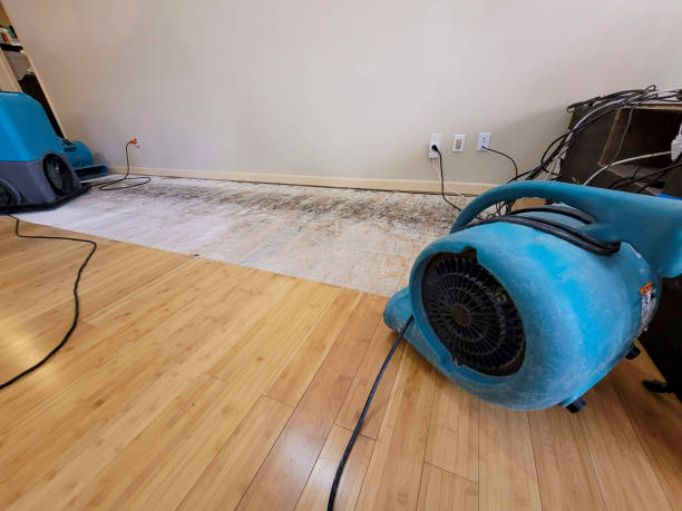 Professional Water Damage Repair technician working in Stoneboro, PA
